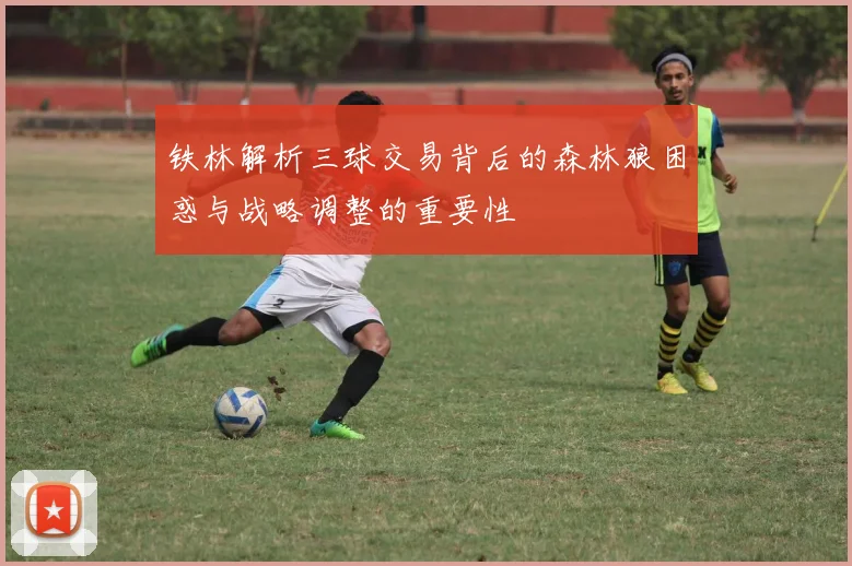 铁林解析三球交易背后的森林狼困惑与战略调整的重要性